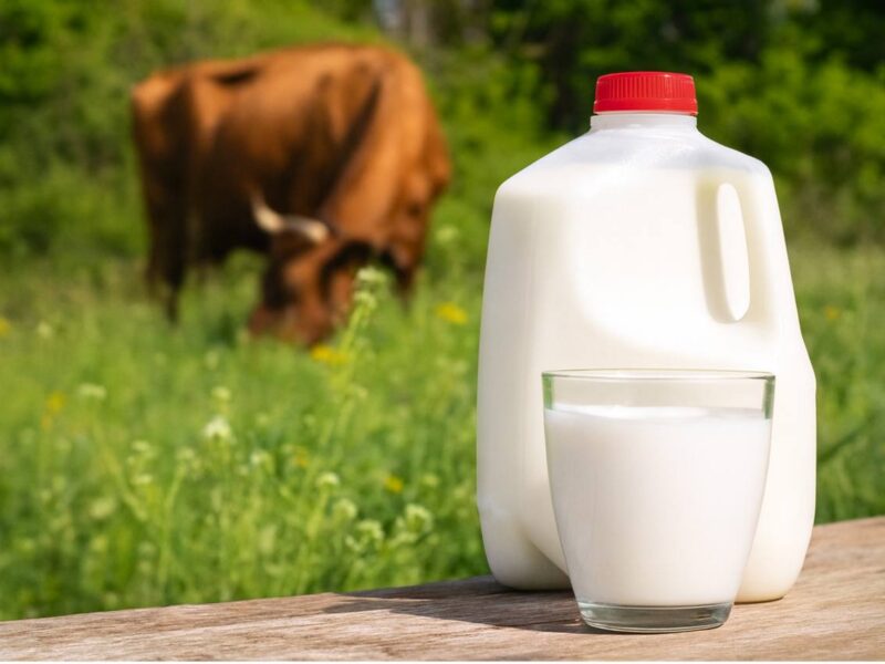 Raw Milk - Gallon